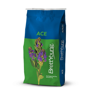 Ace Alfalfa