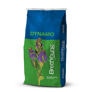 Dynamo Alfalfa