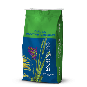Carlton Smooth Bromegrass