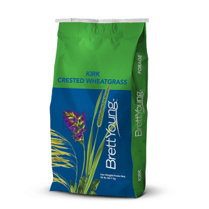 Kirk Crested Wheatgrass